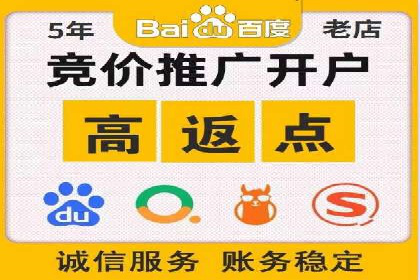 电商成功案例：竞价推广助力品牌崛起